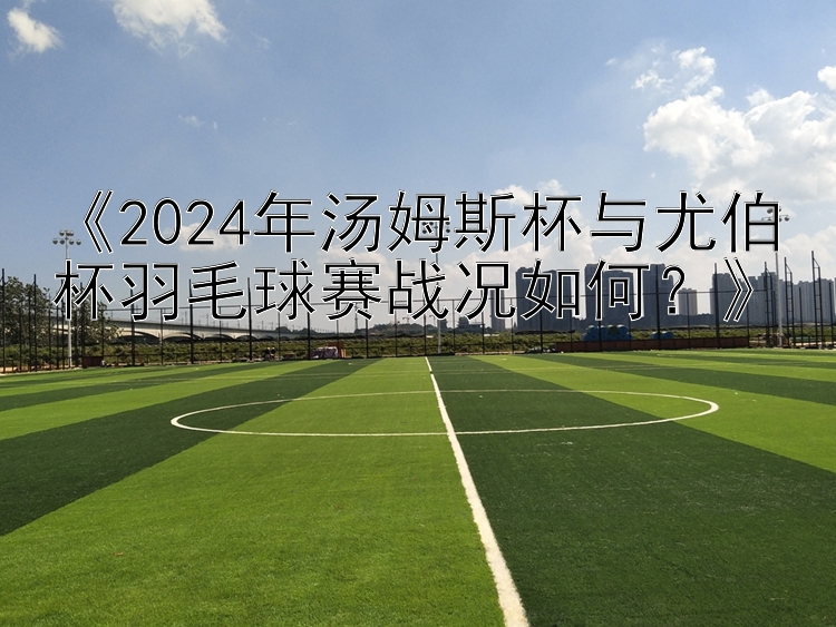 《2024年汤姆斯杯与尤伯杯羽毛球赛战况如何？》