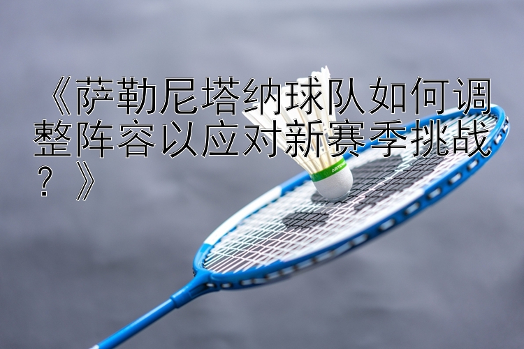 《萨勒尼塔纳球队如何调整阵容以应对新赛季挑战？》