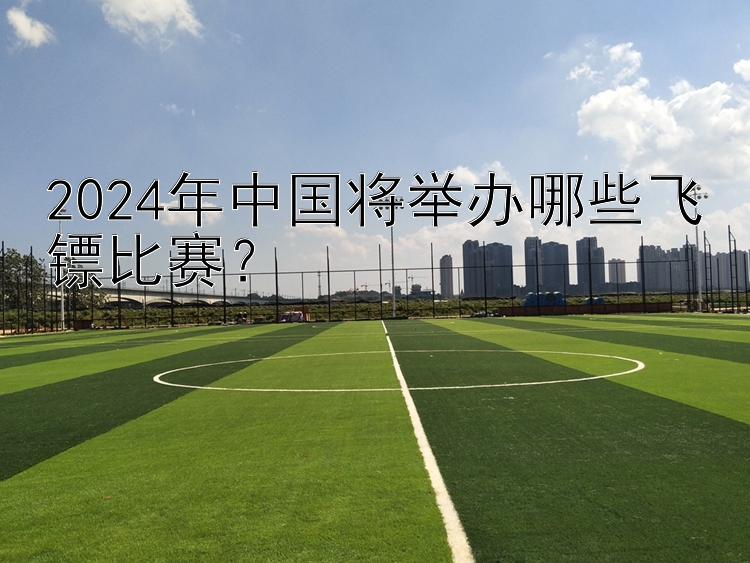 2024年中国将举办哪些飞镖比赛？