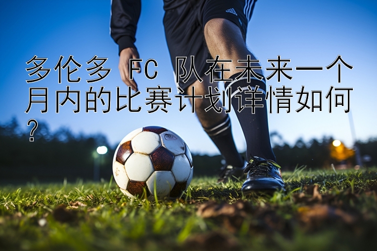 多伦多 FC 队在未来一个月内的比赛计划详情如何？